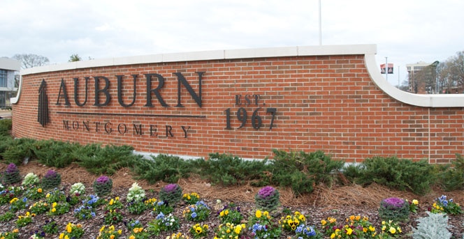 a large brick building with a purple flower