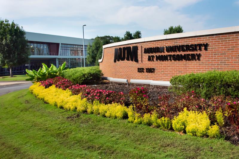 a close up of a flower garden in front of a brick building