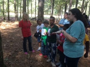 a group of people in a forest