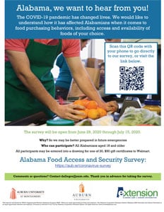 Food-Security-flyer