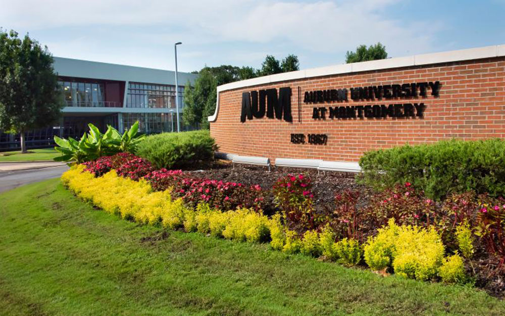 a close up of a flower garden in front of a brick building