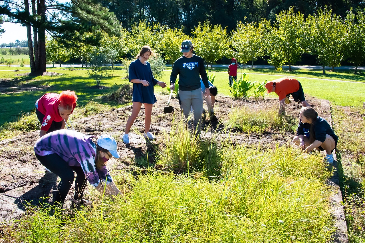 a group of people in a field