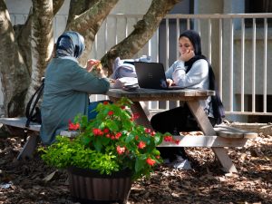 Two students work on their laptops and eat lunch outside on a picnic bench
