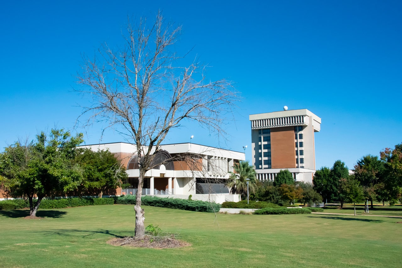 a tree in front of a building