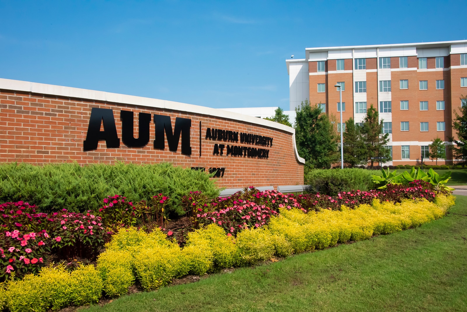 AUM creates new position that will focus on student diversity education, engagement
