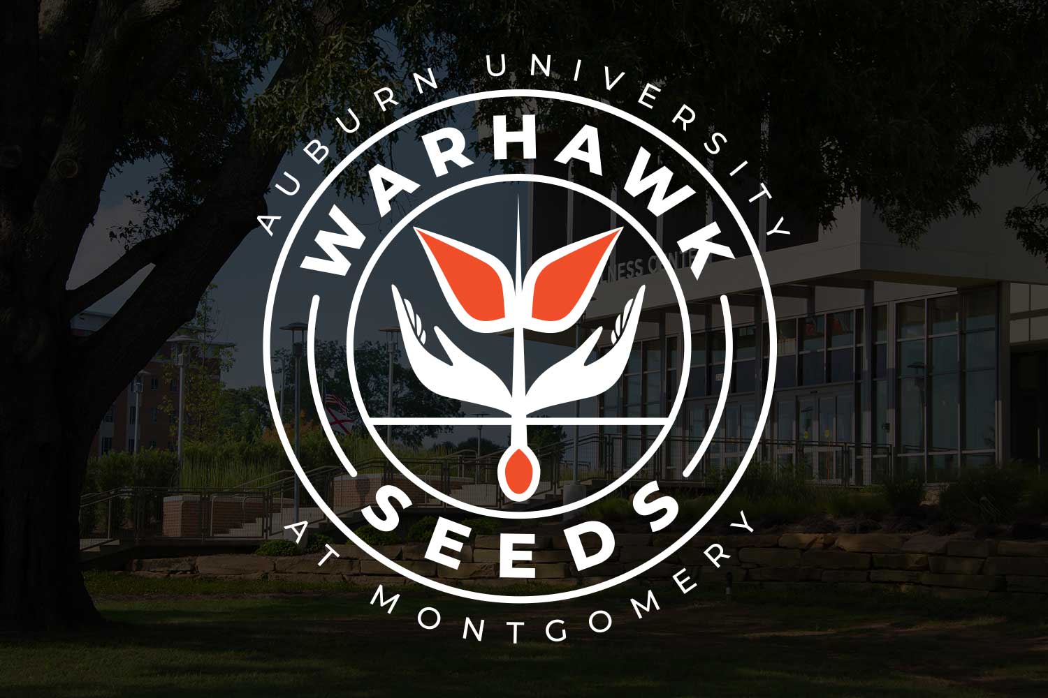 Warhawk SEEDS logo