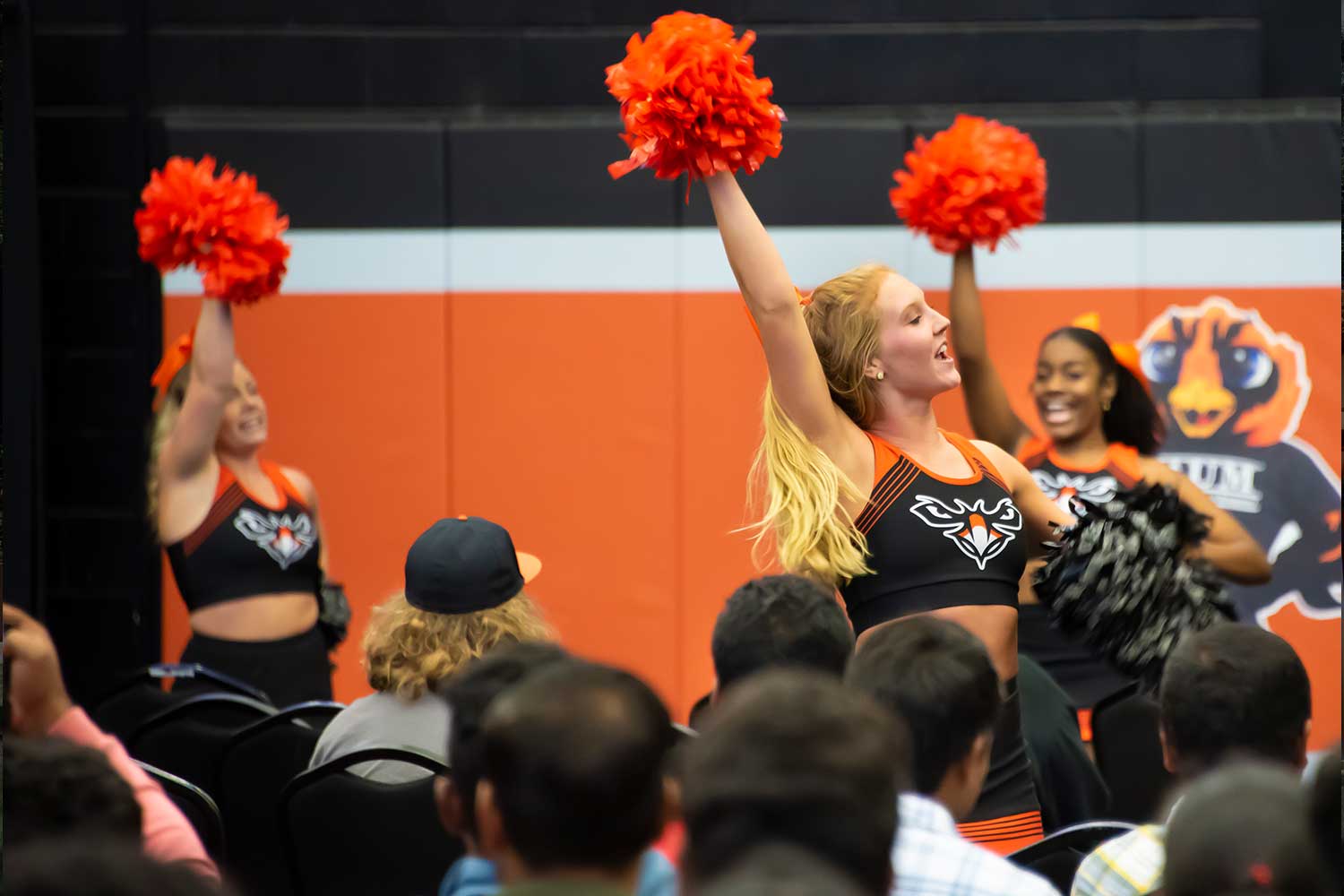 aum cheerleaders orientation