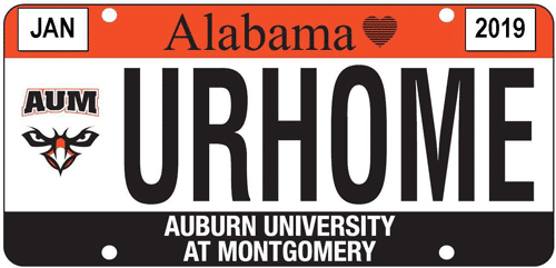 AUM License Plate - You Are Home