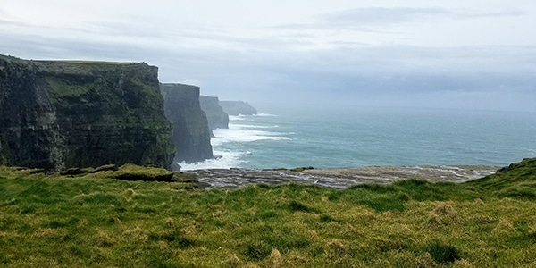 a close up of a hillside next to a body of water with Cliffs of Moher in the background