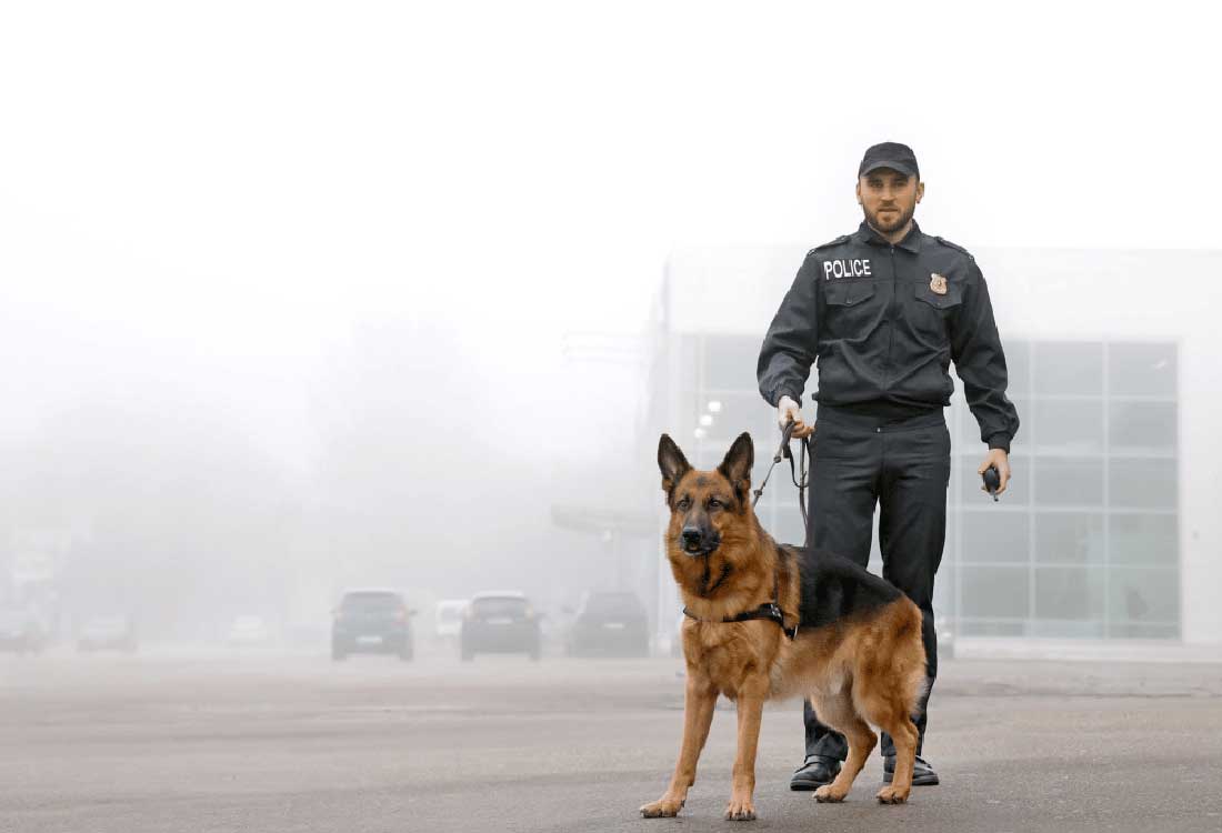 Auburn University at Montgomery campus police officer with K-9 German Shepherd on duty in foggy parking area