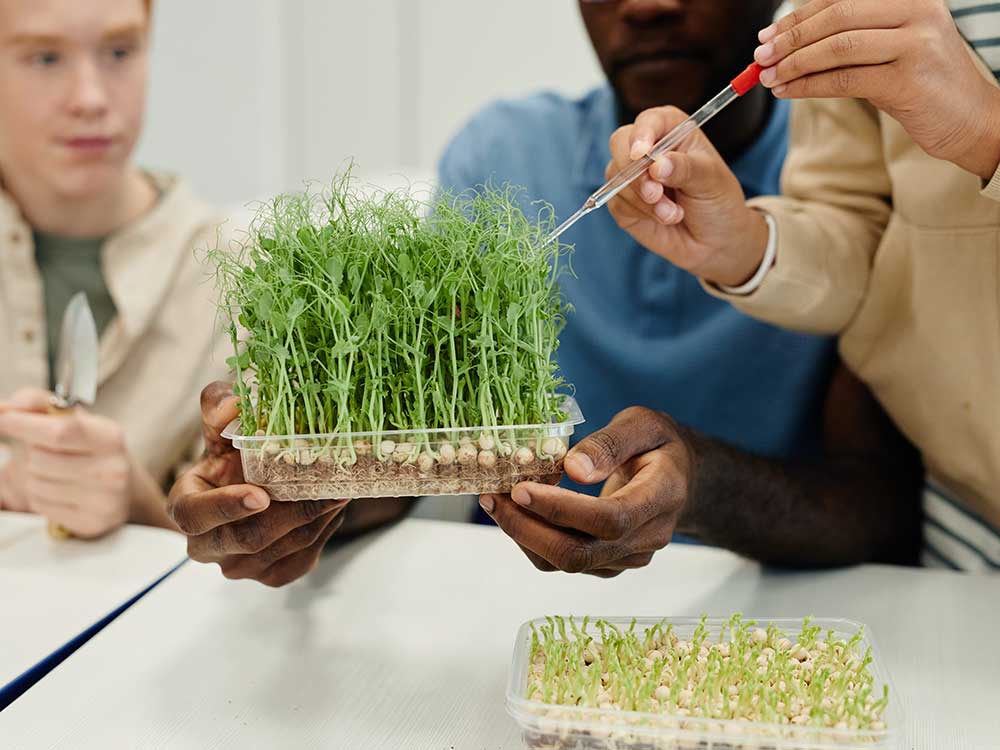 a group of biology students in a lab