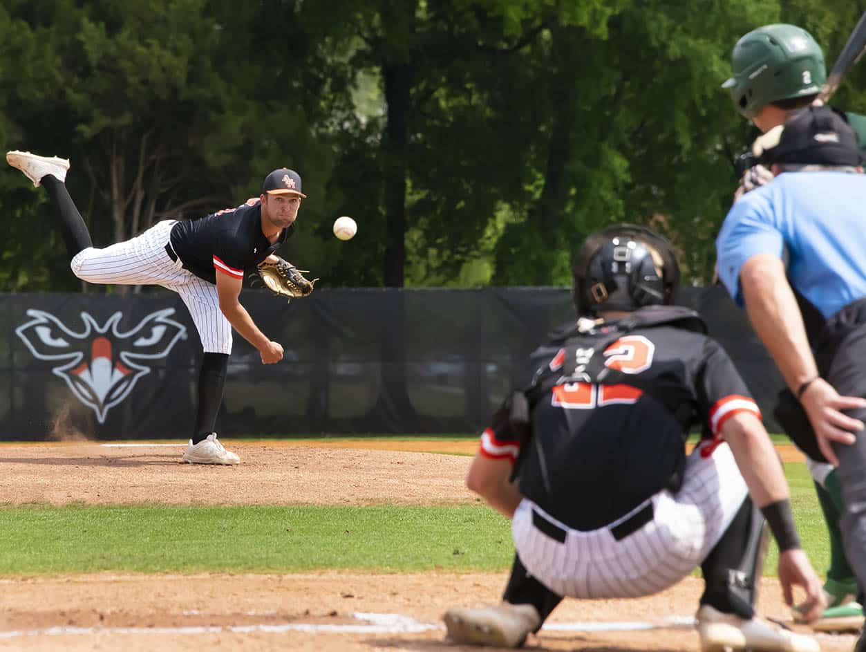 a batter catcher and umpire during a baseball game