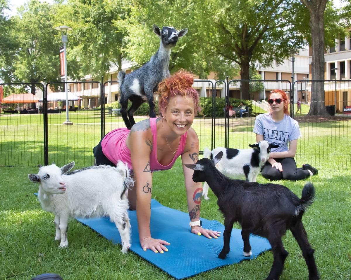 a person holding a dog in a park