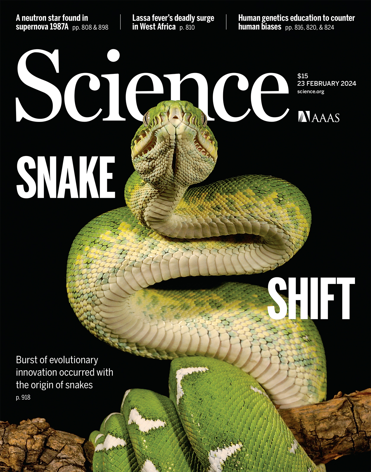 AUM associate professor Gabe Costa and collaborators earned a cover story in the journal "Science."