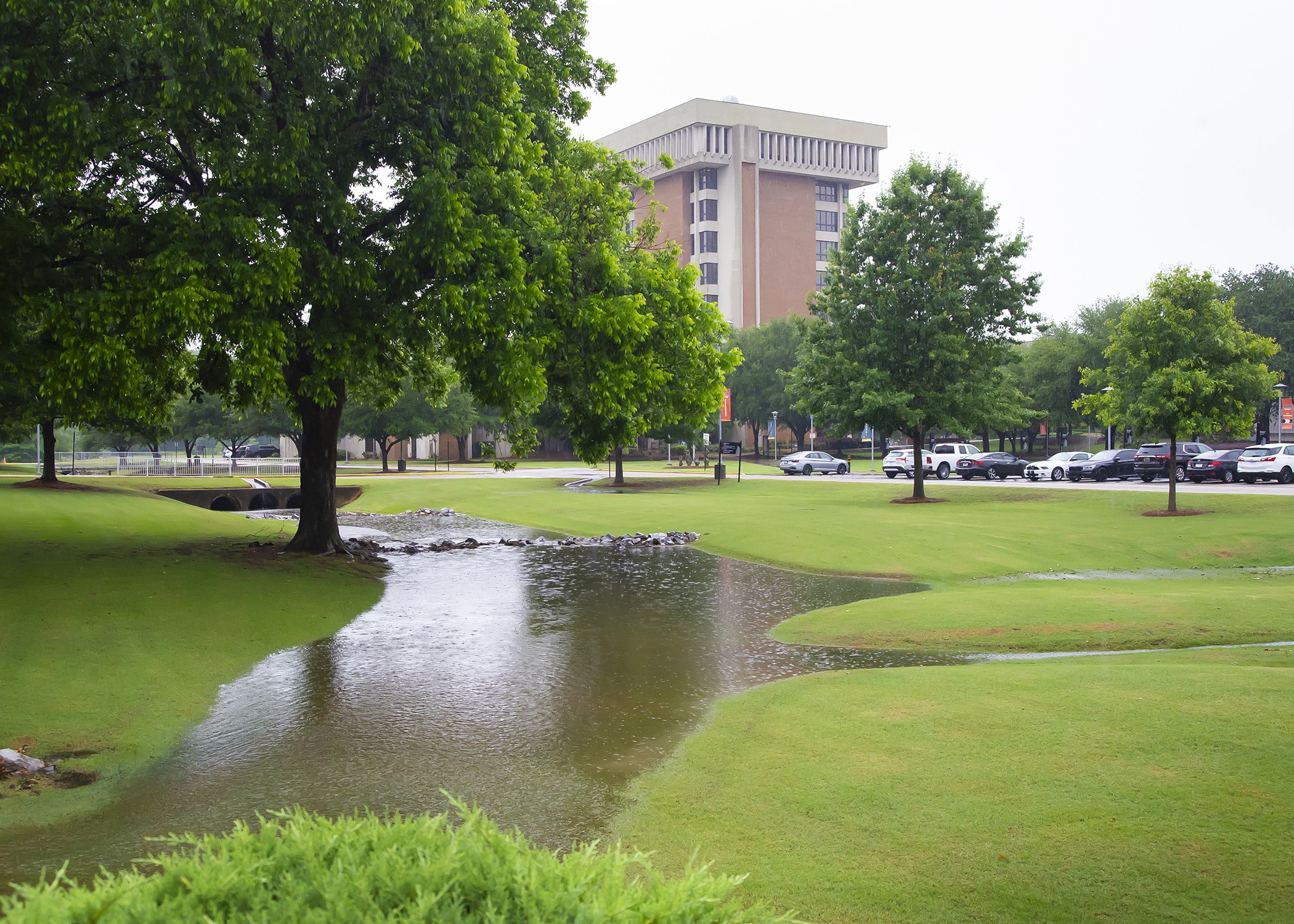 a river running through a park