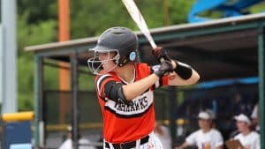 a baseball player holding a bat