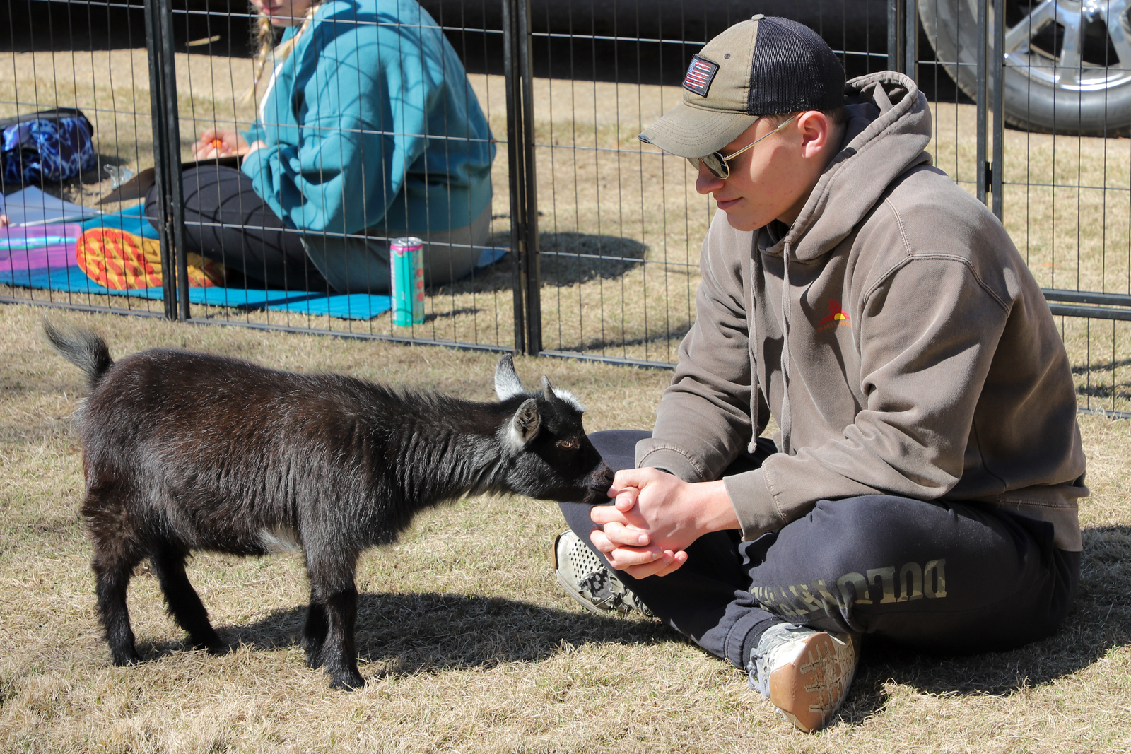 Students had the opportunity to cuddle, pet, and play with miniature goats on The Quad.