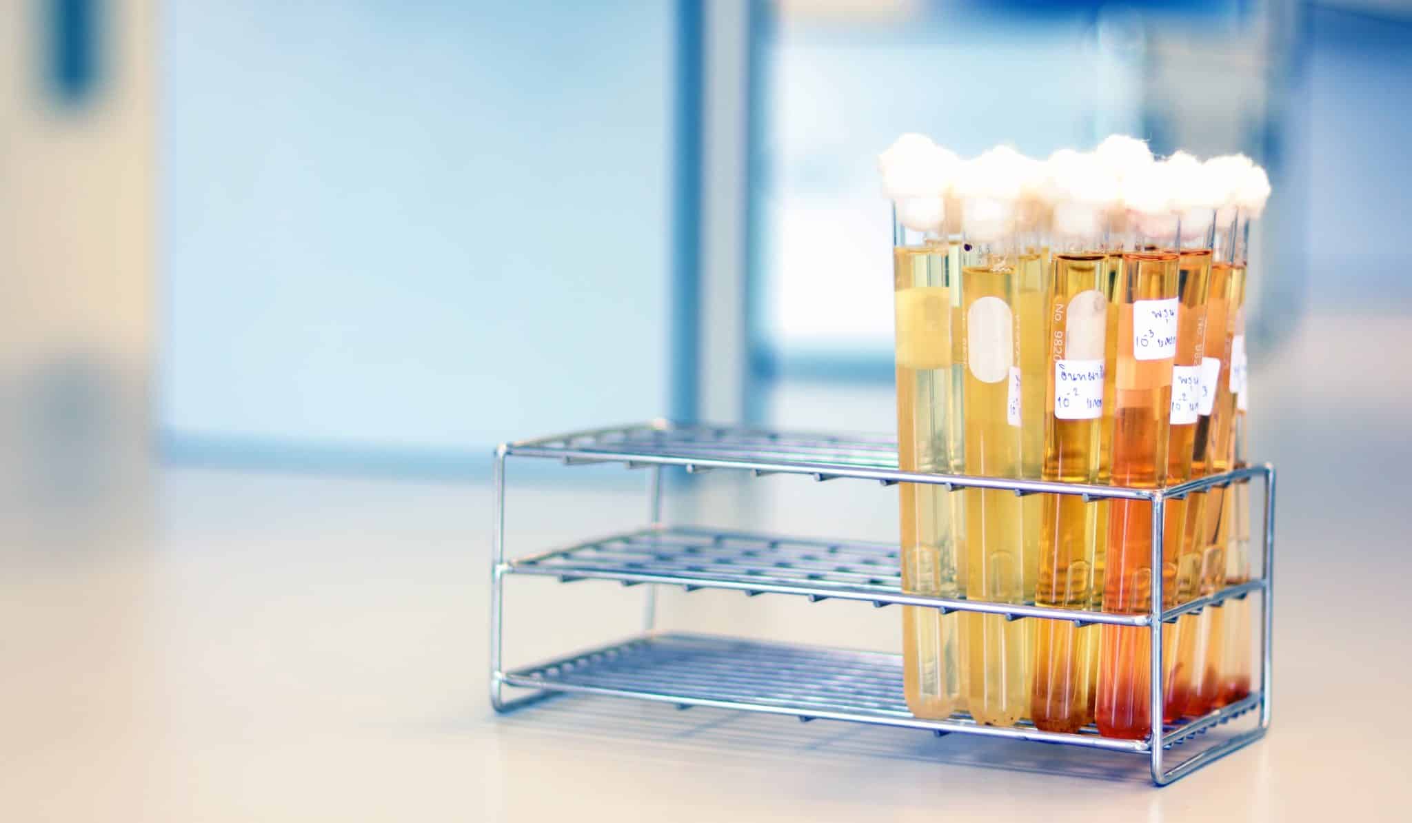 Test tubes with colorful liquid in a metal rack on a lab counter at Auburn University at Montgomery.