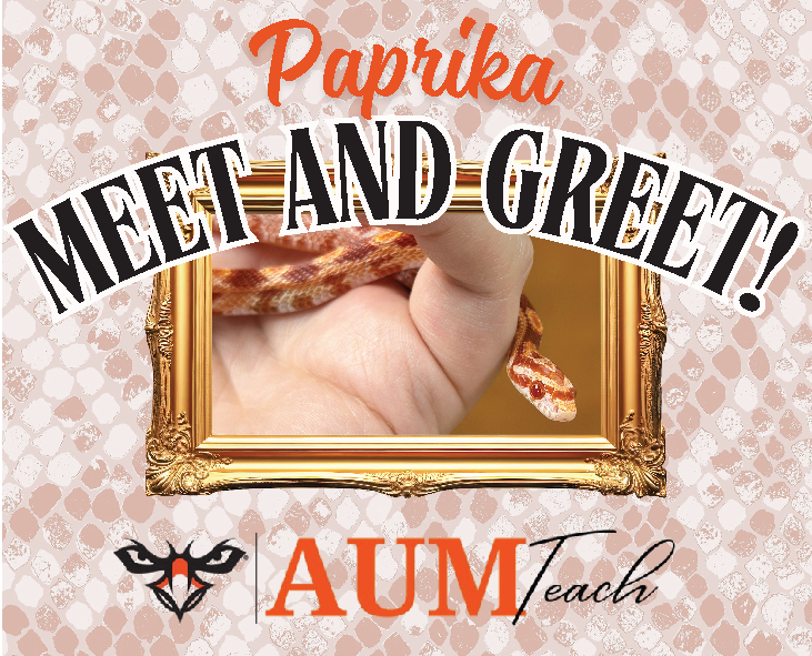Paprika the corn snake in a frame with Meet and Greet text and AUM Teach logo on a patterned background.