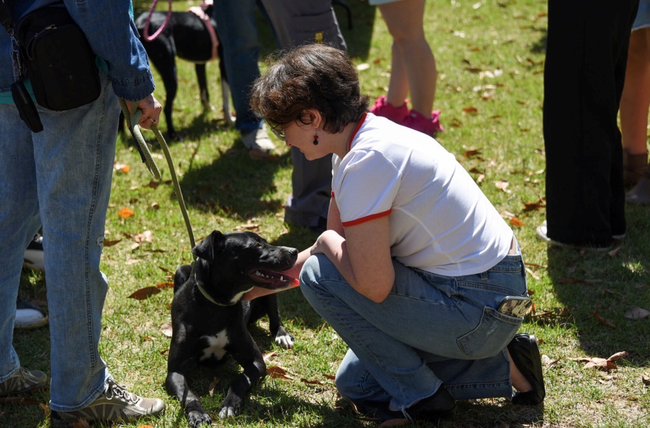 A person kneeling on grass, petting a happy black dog at an outdoor event.