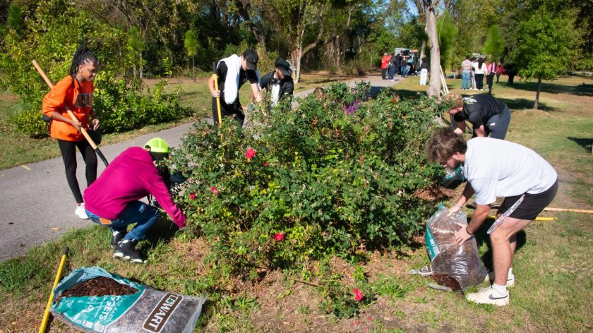 Students Gardening Outdoors On Auburn University At Montgomery Campus During A Volunteer Event.