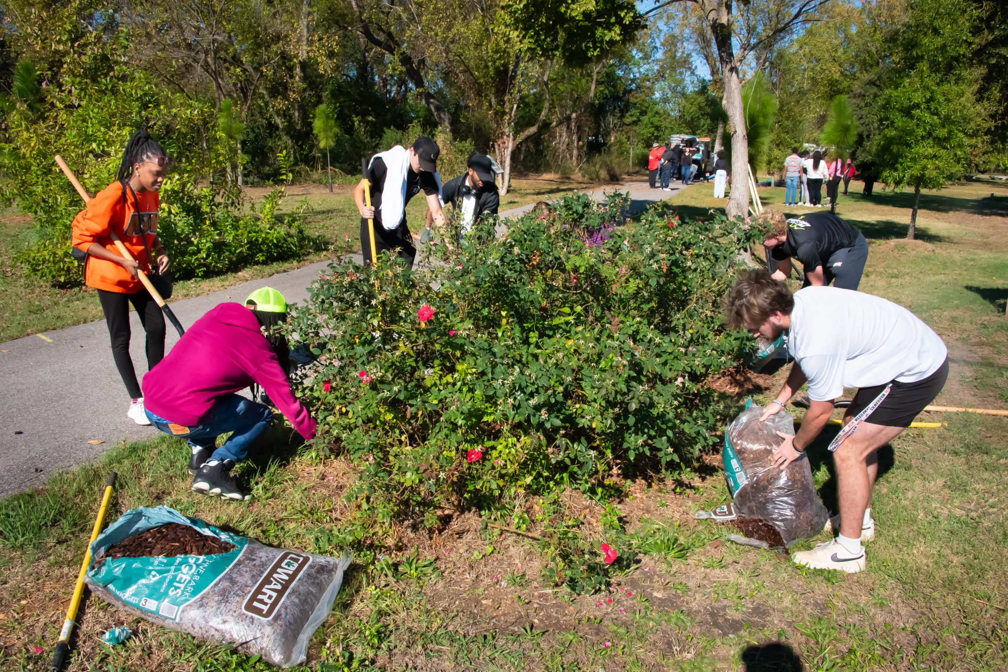 Students gardening outdoors on Auburn University at Montgomery campus during a volunteer event.