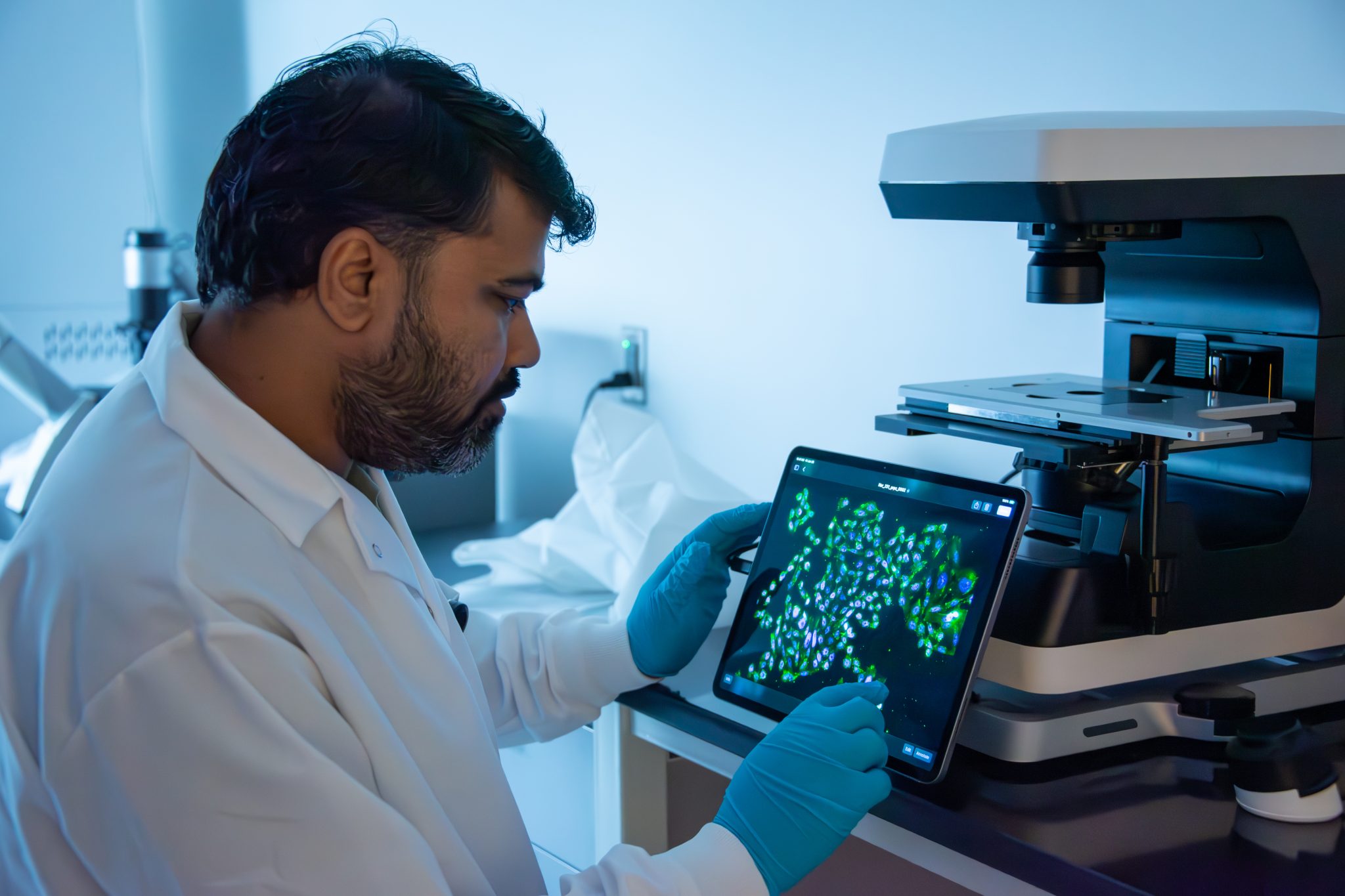 Auburn University at Montgomery researcher analyzes fluorescent cell images on tablet beside microscope in lab