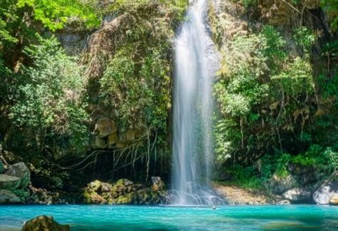 Auburn University at Montgomery nature study: serene waterfall cascading into turquoise pool amid lush greenery