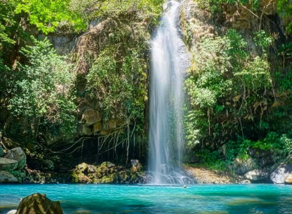 Auburn University at Montgomery nature study: serene waterfall cascading into turquoise pool amid lush greenery