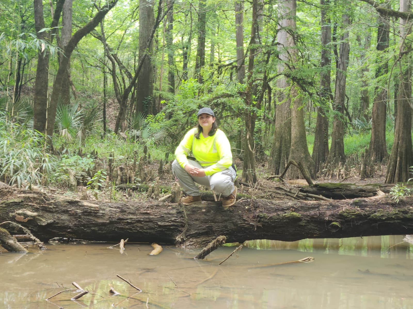 Auburn University at Montgomery student conducting wetlands fieldwork, crouching on a log over a creek in a cypress forest