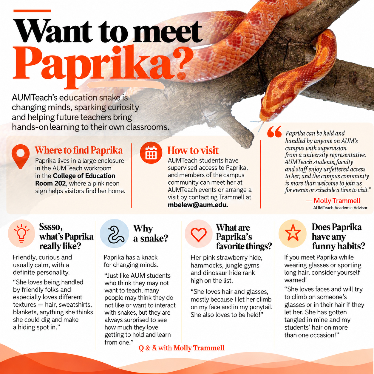 Auburn University at Montgomery's AUMTeach education snake Paprika on a branch; infographic on student and community visits